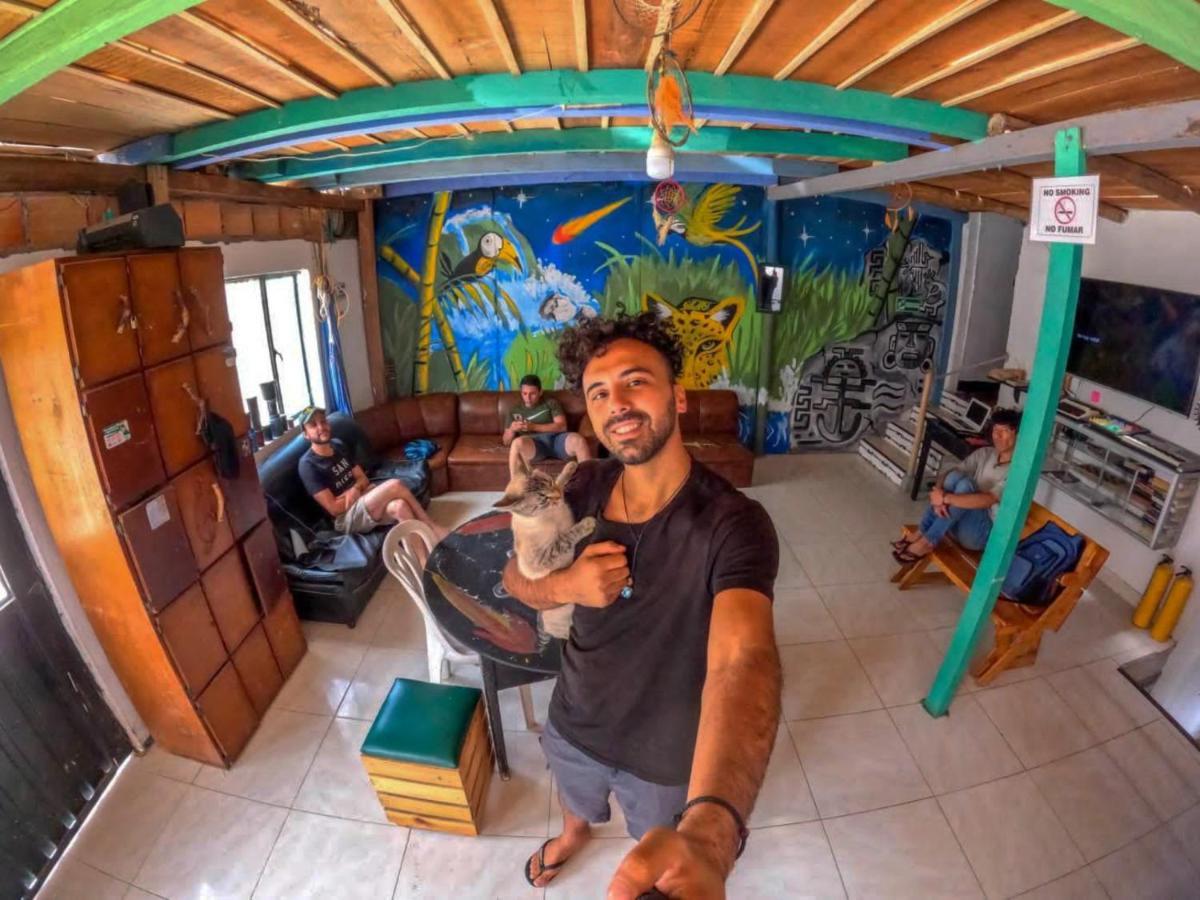 Hostal Musica Y Arte San Agustín Eksteriør billede