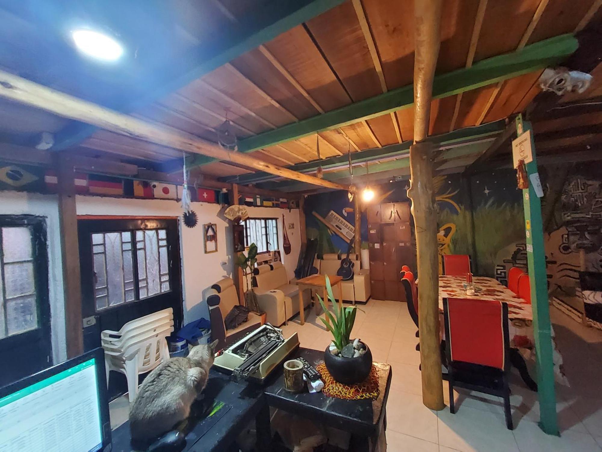 Hostal Musica Y Arte San Agustín Eksteriør billede